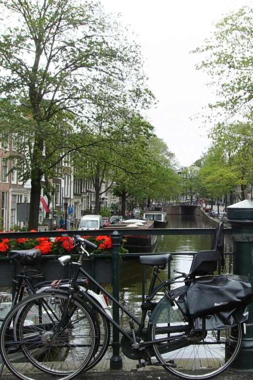 2.5-Hour Amsterdam Sightseeing Tour by Bike - Picture Breaks, but Cameras Are a No