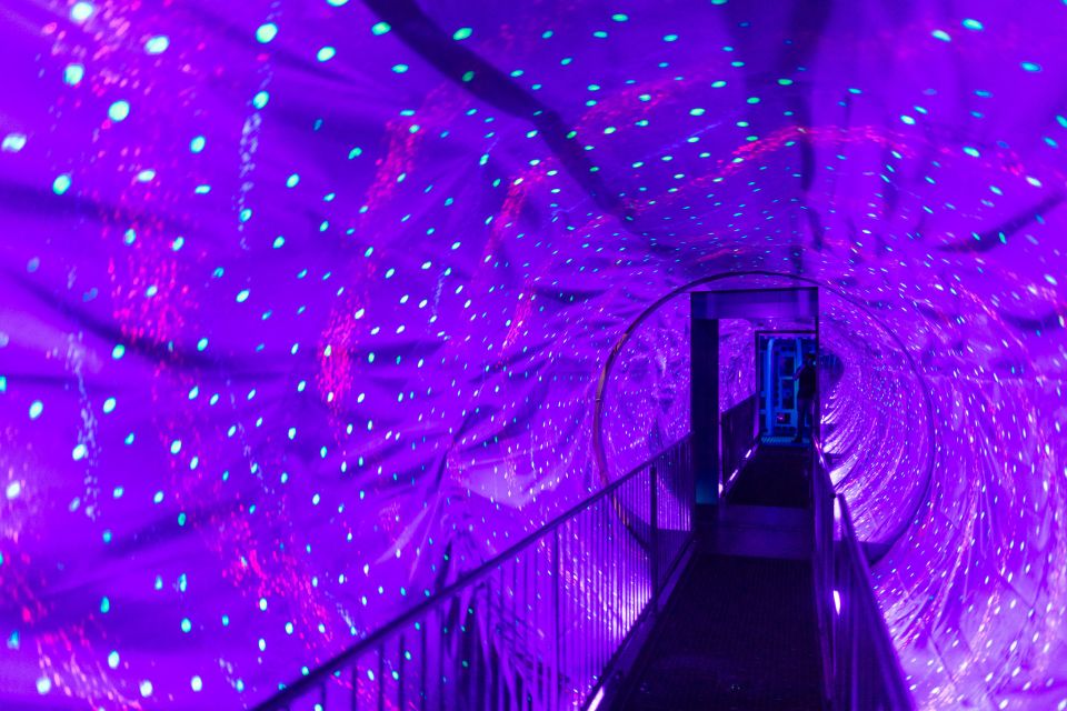 Amsterdam 1-Hour Canal Cruise and Ripley’s Believe it or Not - Ripley’s Believe it or Not at Dam 21: A Museum That Moves Like a Walkthrough