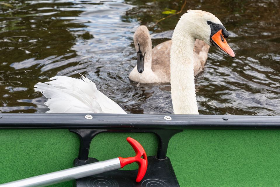 Amsterdam: 2-Hour Guided Canoe Trip - What You Learn About Dutch Waterways (Without It Becoming a Lecture)