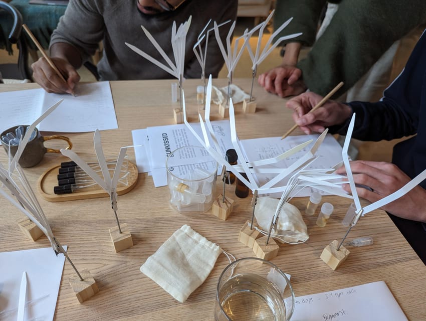 Amsterdam: 3-Hour Mindful Perfume-Making Workshop - Who this is best for (solo, couples, and small-group calm)