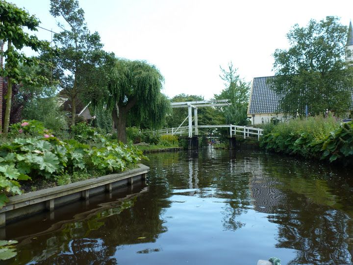 Amsterdam 5-Hour Guided Canoe Trip in the Wetlands - Why This Wetlands Canoe Trip Feels Special From the First Paddle