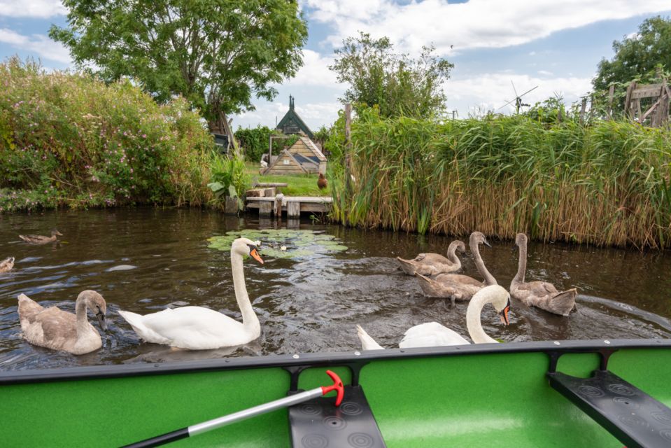 Amsterdam 5-Hour Guided Canoe Trip in the Wetlands - The Island Picnic: Food That Makes the Middle of the Trip Feel Like a Break
