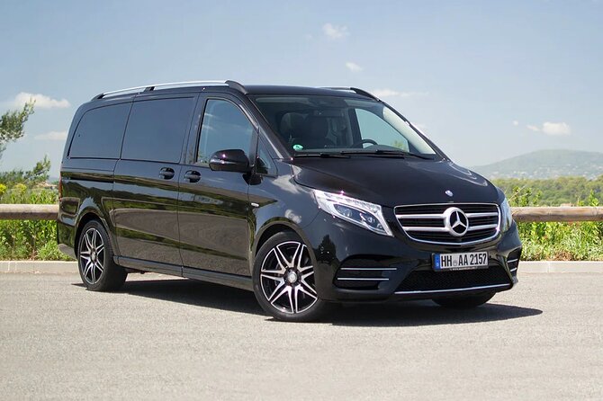 Amsterdam Airport Private Arrival Transfer by Luxury Van - Who This Private Van Transfer Fits Best