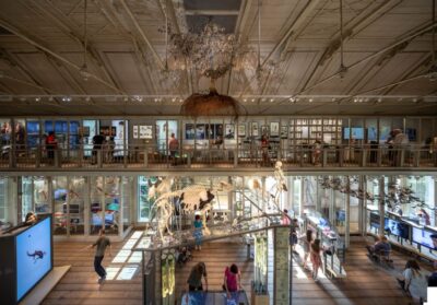 Amsterdam: ARTIS-Groote Museum Entry Ticket - Oldest ARTIS museum halls plus free audio tours