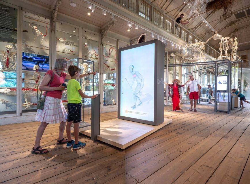 Amsterdam: ARTIS-Groote Museum Entry Ticket - The 1,000-example interactive journey through ecosystems