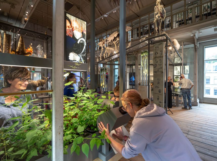 Amsterdam: ARTIS-Groote Museum Entry Ticket - The scent tunnel: included, and surprisingly memorable