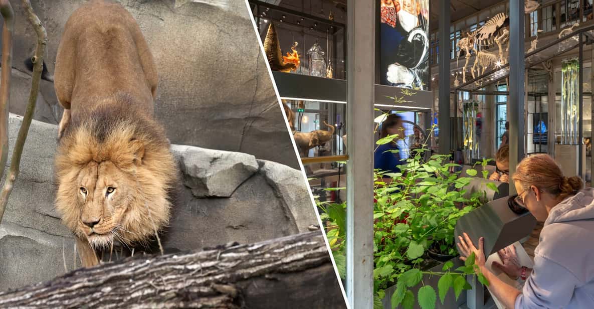 Amsterdam: ARTIS Royal Zoo and ARTIS Groote Museum Ticket - Key things you’ll notice right away