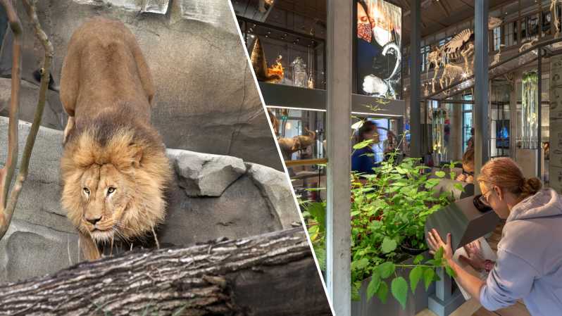 Amsterdam: ARTIS Royal Zoo and ARTIS Groote Museum Ticket - Tanja: Up Close and the museum’s personal connection to nature