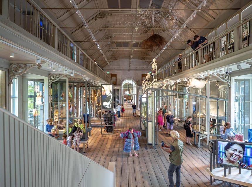 Amsterdam: ARTIS Royal Zoo and ARTIS Groote Museum Ticket - Newborn elephant calves and the Elephant Expedition