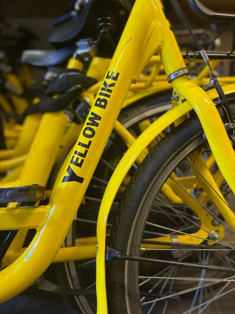Amsterdam Bike Rental: Central Station & City Center - Comfort for different heights and kids: what to plan before you go