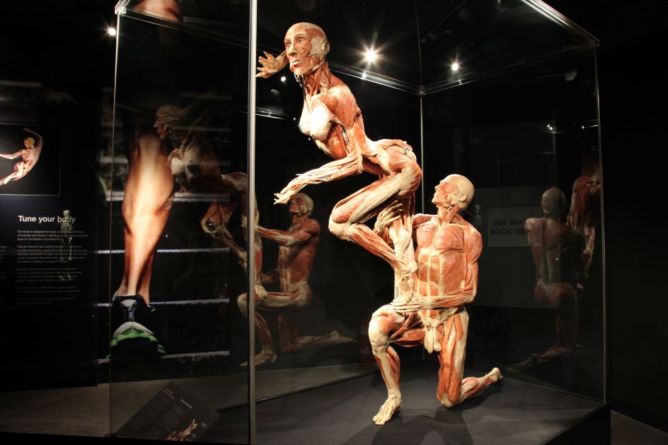 Amsterdam: Body Worlds Exhibition and Canal Cruise - Body Worlds: The Happiness Project turns feelings into anatomy