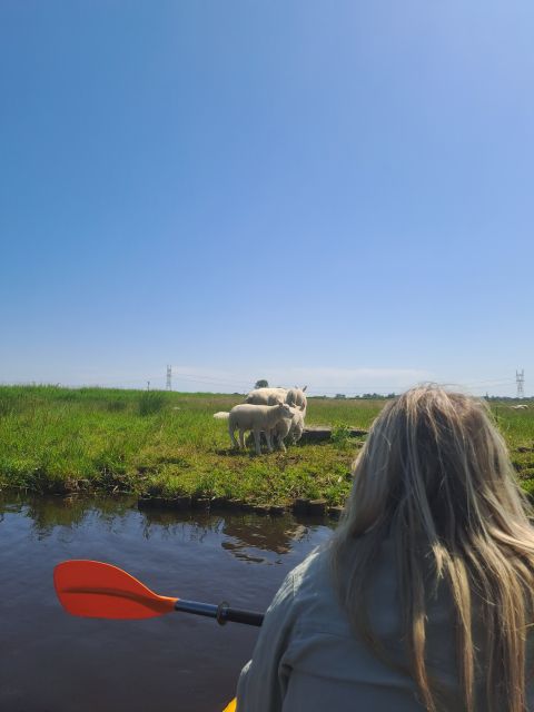 Amsterdam: Countryside Bike and Kayak Guided Tour - Key Highlights You’ll Actually Feel