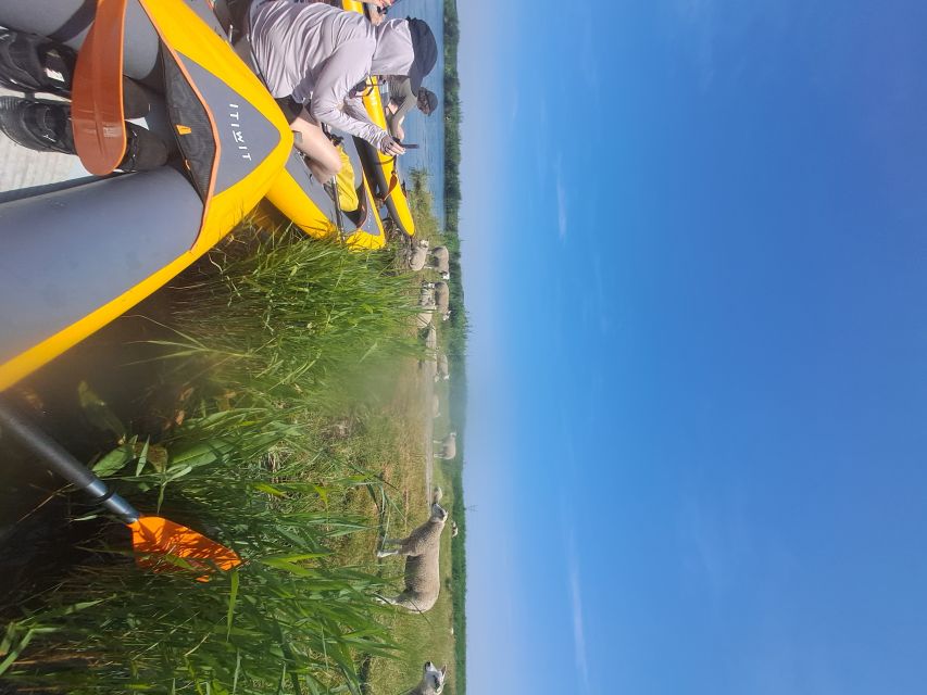 Amsterdam: Countryside Bike and Kayak Guided Tour - Who Should Book This (and Who Might Skip It)
