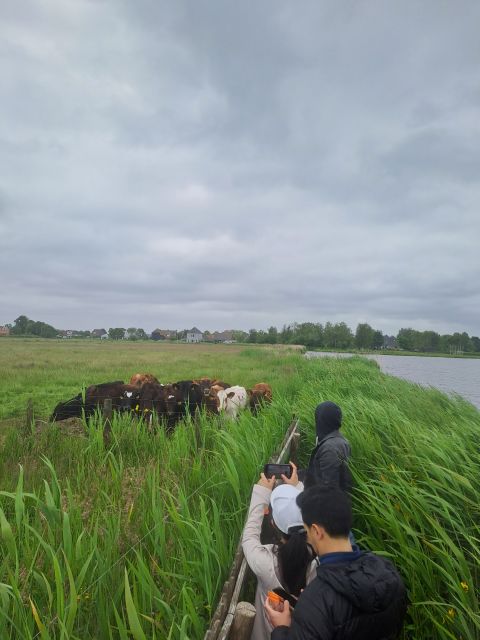 Amsterdam: Countryside Bike and Kayak Guided Tour - Starting at A’DAM Lookout and the Ferry Shortcut to Real Dutch Life