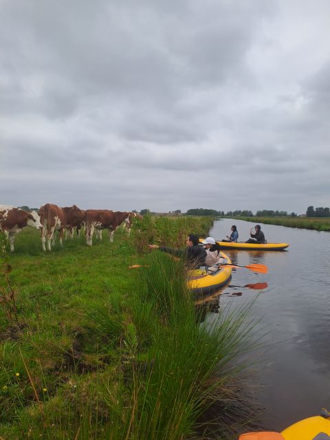Amsterdam: Countryside Bike and Kayak Guided Tour - The Big Transition: From Bike Roads to Quiet Canals