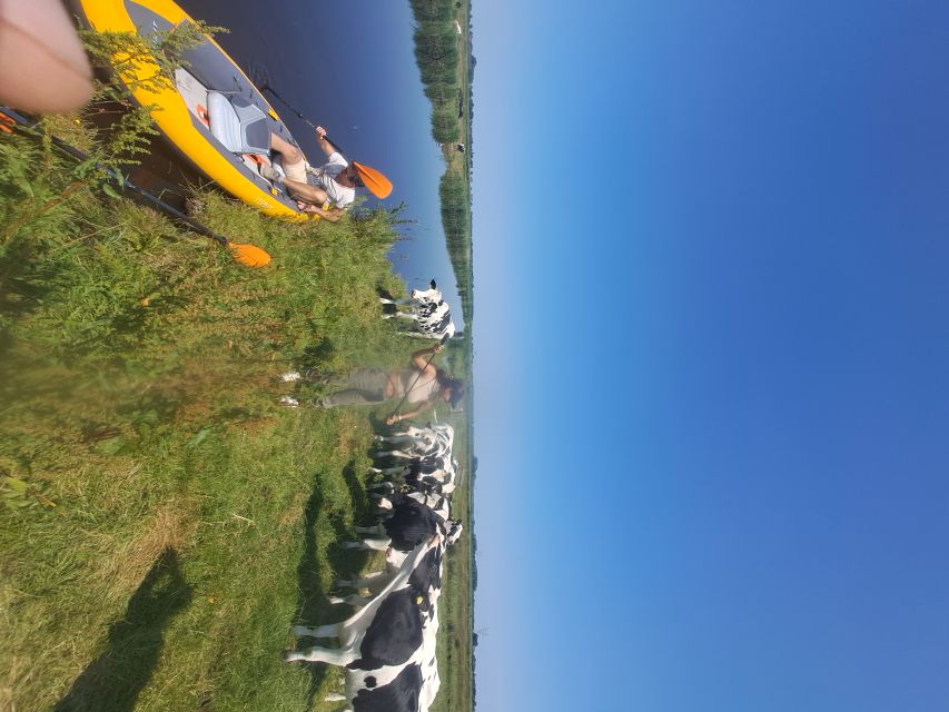 Amsterdam: Countryside Bike and Kayak Guided Tour - Lunch and Sightseeing: A Break That Feels Like Part of the Story