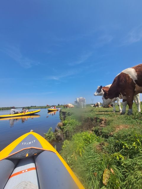 Amsterdam: Countryside Bike and Kayak Guided Tour - Group Size and Pace: Why This Tour Feels Comfortable