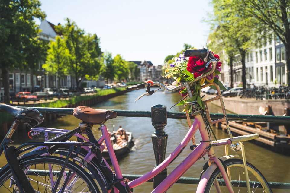 Amsterdam: Countryside Bike Tour - Price and Value: Why $41 Can Make Sense Here