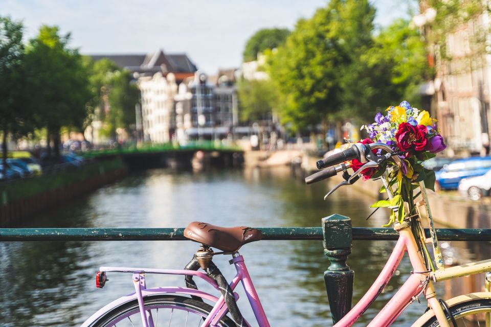 Amsterdam: Countryside Bike Tour - Pace, Safety, and Bike Confidence: What You Should Expect