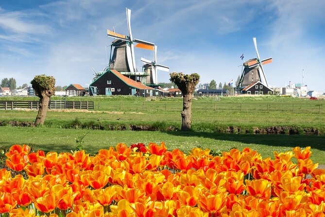 Amsterdam: Day Trip to Keukenhof & Zaanse Schans Windmills - A Quick Read on Keukenhof and Zaanse Schans by Bus