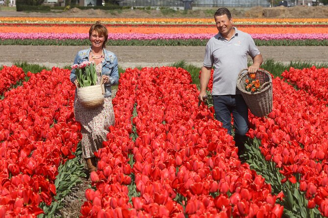 Amsterdam: Day trip to Tulip Farm, Keukenhof + Windmill Cruise - Getting Oriented at This is Holland on Overhoeksplein