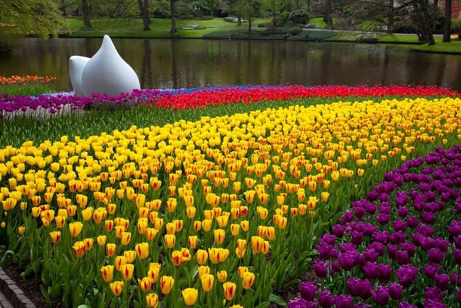 Amsterdam: Day trip to Tulip Farm, Keukenhof + Windmill Cruise - Riding Through Lisse and the Tulip Fields by Air-Conditioned Bus