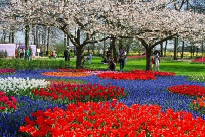 Amsterdam: Day trip to Tulip Farm, Keukenhof + Windmill Cruise - Kagerplassen Windmill Cruise: Past Villages and the Big Dutch Water Views