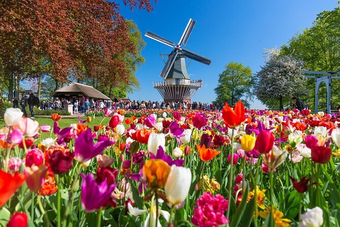 Amsterdam: Day trip to Tulip Farm, Keukenhof + Windmill Cruise - Price and Value: What You’re Really Paying For