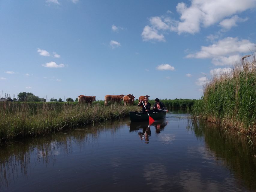 Amsterdam: Dutch Countryside Sunset Canoe Tour - Canoeing past farmhouses, mills, and grazing fields