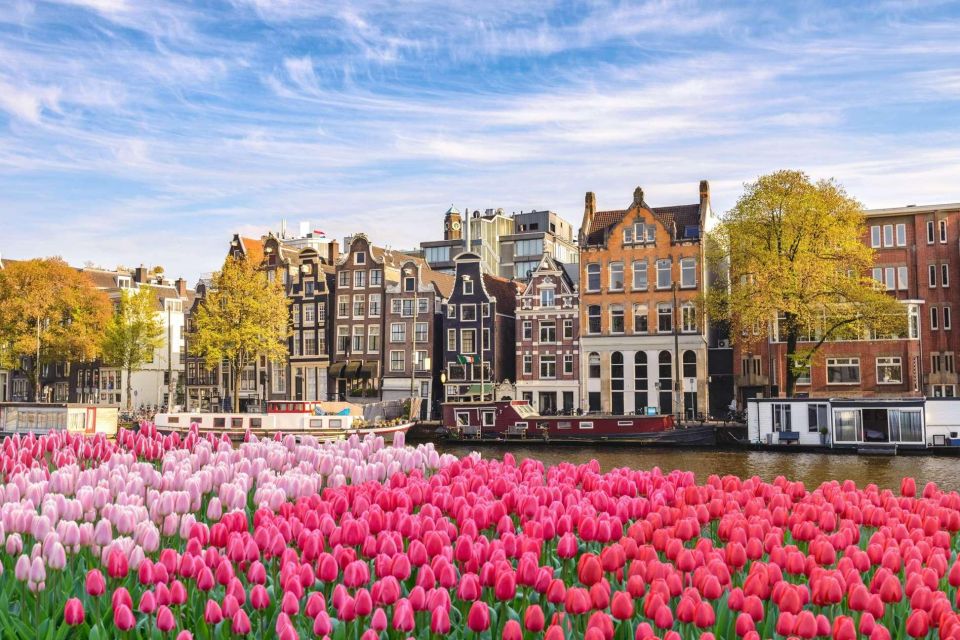 Amsterdam Family Friendly Historical Walking Tour - Should You Book This Amsterdam Family Historical Walking Tour?