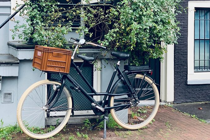Amsterdam: Hidden Gems Walking Tour in German - Key highlights you’ll feel fast
