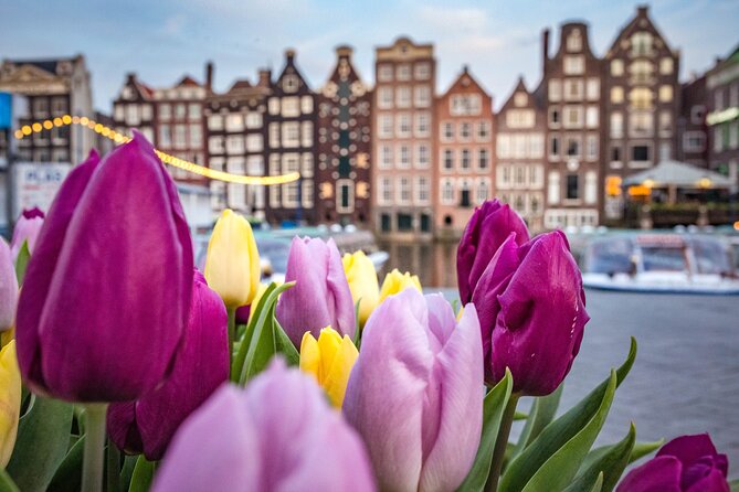 Amsterdam Highlights Walking Tour - Key points worth knowing before you go