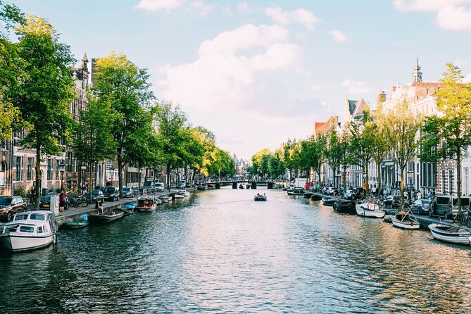 Amsterdam Highlights Walking Tour - Oude Kerk by the Red Light District: Gothic beauty with tough context