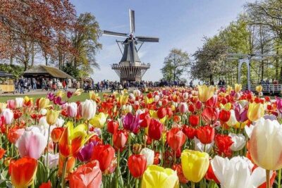 Amsterdam : Keukenhof FlowerFarm Privatetour Skip-The-Line ticket - Keukenhof: direct entry plus time to enjoy it your way