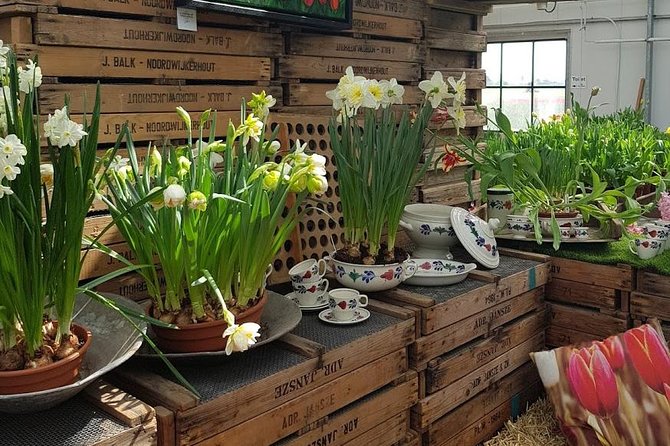 Amsterdam : Keukenhof FlowerFarm Privatetour Skip-The-Line ticket - The private vehicle, Wi‑Fi, and hotel pickup: the “friction saver”