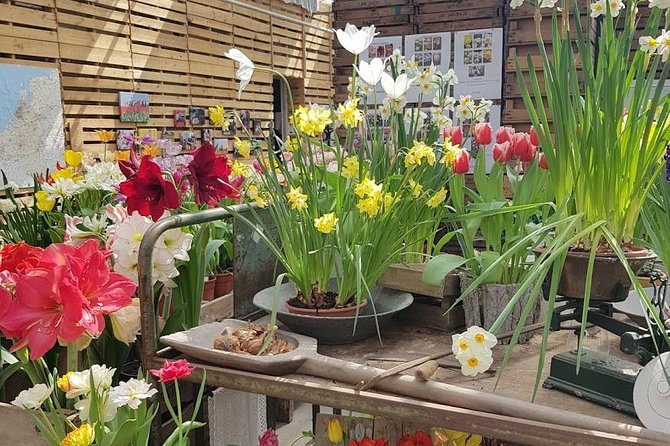 Amsterdam : Keukenhof FlowerFarm Privatetour Skip-The-Line ticket - Price and value: what $463.74 per person is buying you