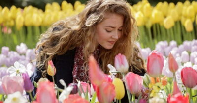 Amsterdam: Keukenhof, Tulip Farm Full-Day Tour with Cruise - How the Amsterdam Pickup Works (and Why It Matters)