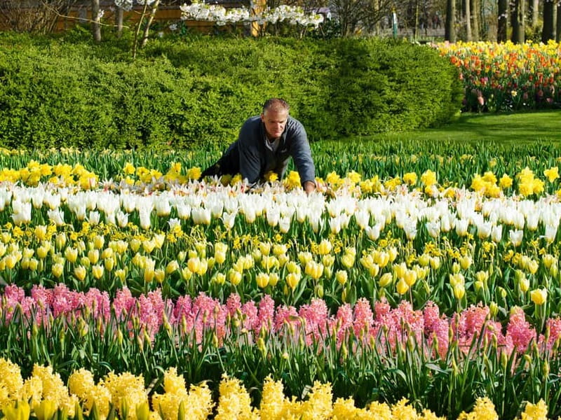 Amsterdam: Keukenhof, Tulip Farm Full-Day Tour with Cruise - Price and Value: Is $96 Fair for This Much Included?
