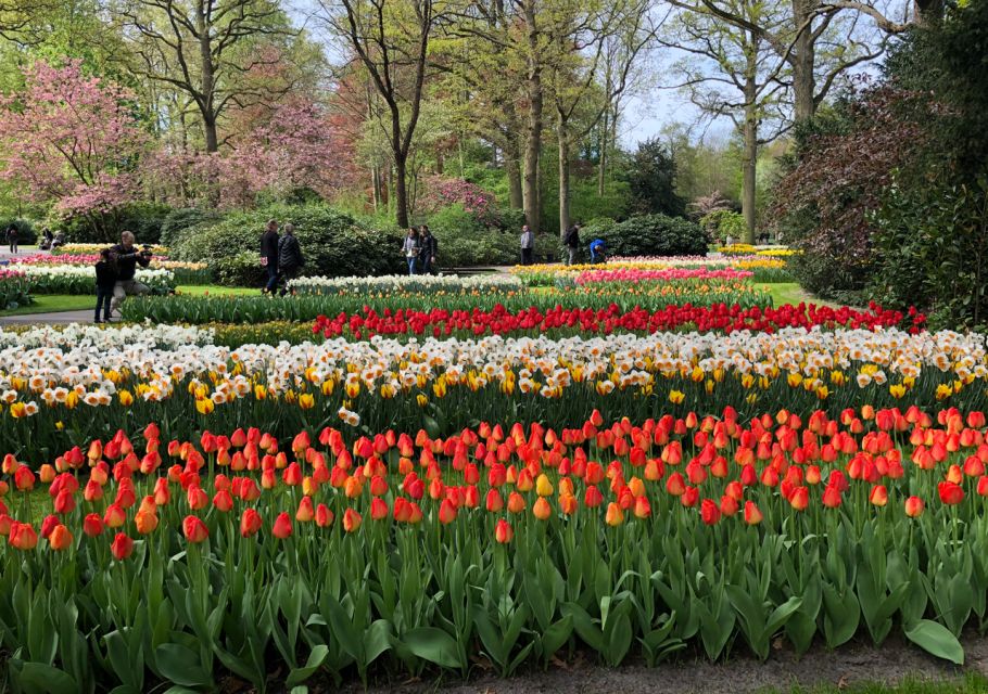 Amsterdam: Keukenhof Tulip Garden and Giethoorn Experience - Should you book Keukenhof and Giethoorn in one day?