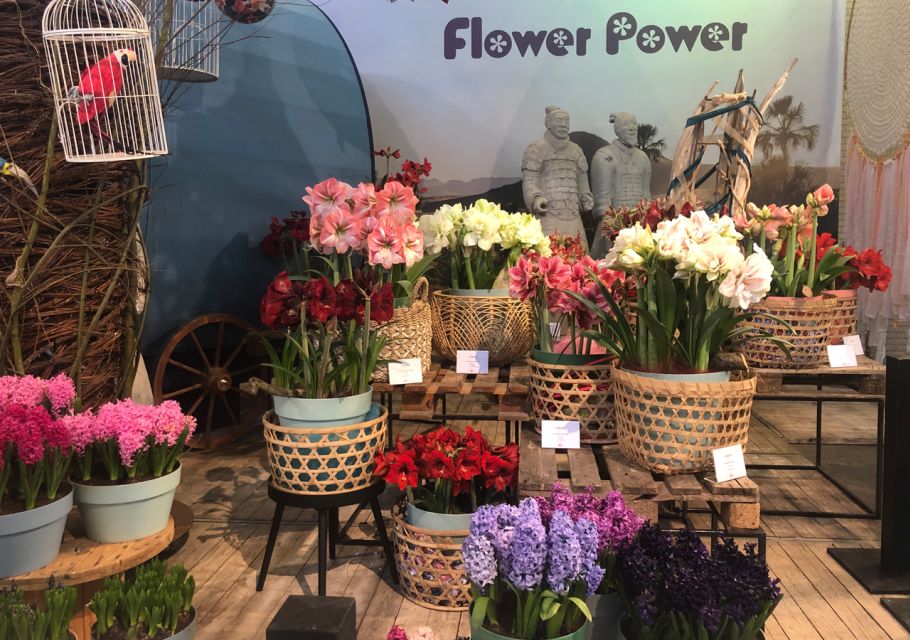 Amsterdam: Keukenhof Tulip Garden and Giethoorn Experience - Giethoorn by boat and on foot: canals, bridges, and the Venice of the North vibe