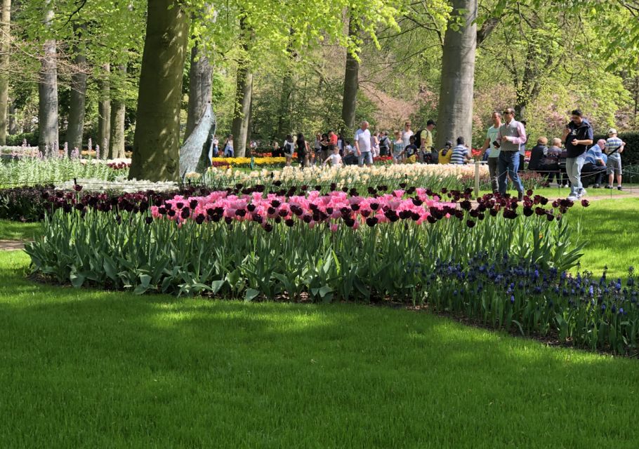 Amsterdam: Keukenhof Tulip Garden and Giethoorn Experience - Price and what your $175 really covers