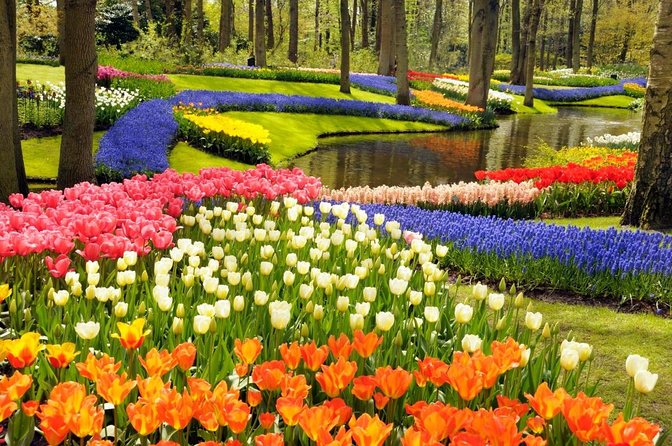 Amsterdam: Keukenhof Tulip Gardens and Giethoorn with Boat Tour - Key highlights that make this trip worth your time