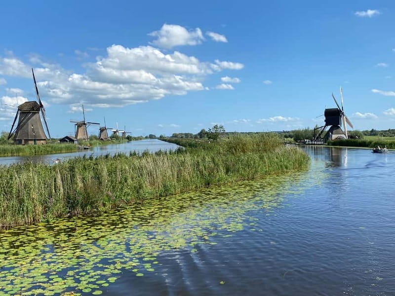 Amsterdam: Kinderdijk, Euromast, Delft and Den Haag Day Tour - Price and value: what $152 really covers