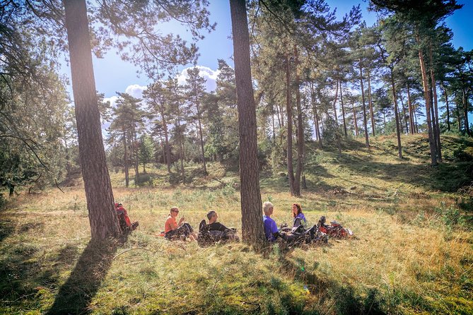 Amsterdam: Kröller Müller Museum and Hoge Veluwe NP Private Tour - Price and logistics: is $72 good value for this mix?