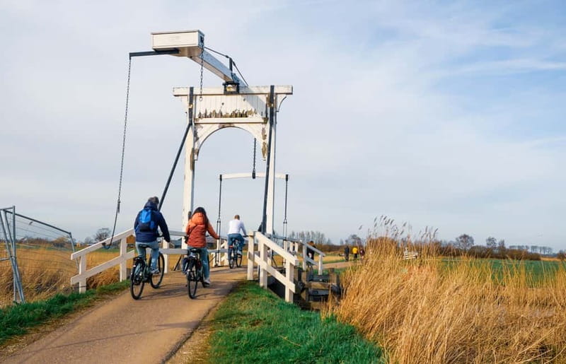 Amsterdam: Leisurely Windmill & Countryside Bike Ride - Eco-farmers cooperative stop: cheese tasting (and more)