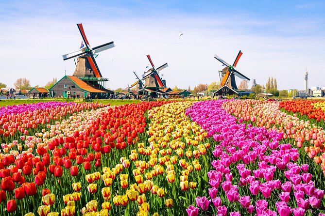 Amsterdam Pass: 45+ Things To Do - Includes Rijksmuseum - Modern Art and High Views: Moco, A’DAM Lookout, Our House