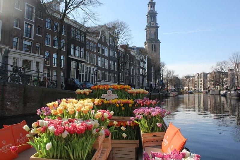 Amsterdam: Premium Tulip Boat Canal Tour - Why this tulip canal tour feels more premium than the usual cruise
