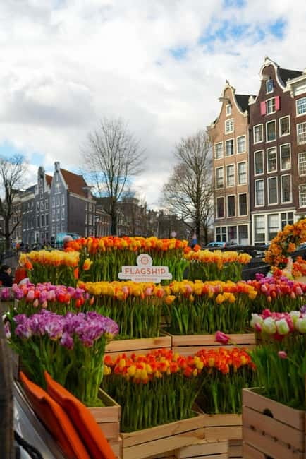 Amsterdam: Premium Tulip Boat Canal Tour - Weather plan: covered in rain, but expect different visibility