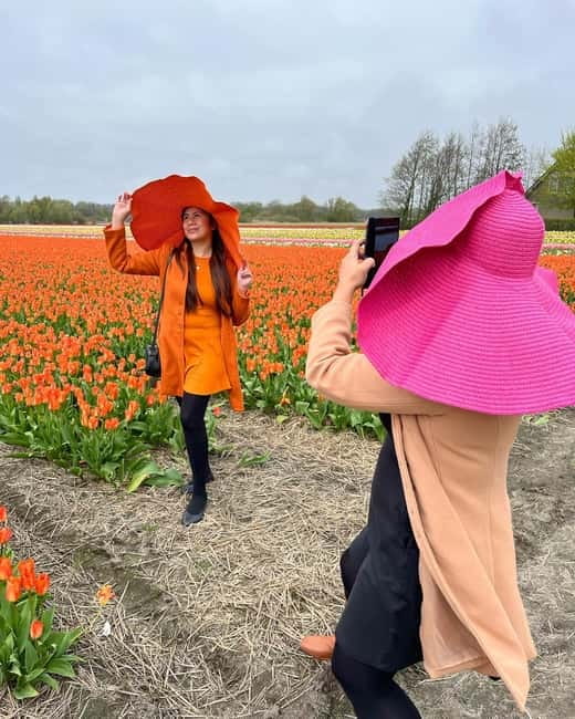 Amsterdam: Private Keukenhof and Free Tulip Tour - Key things to know before you go