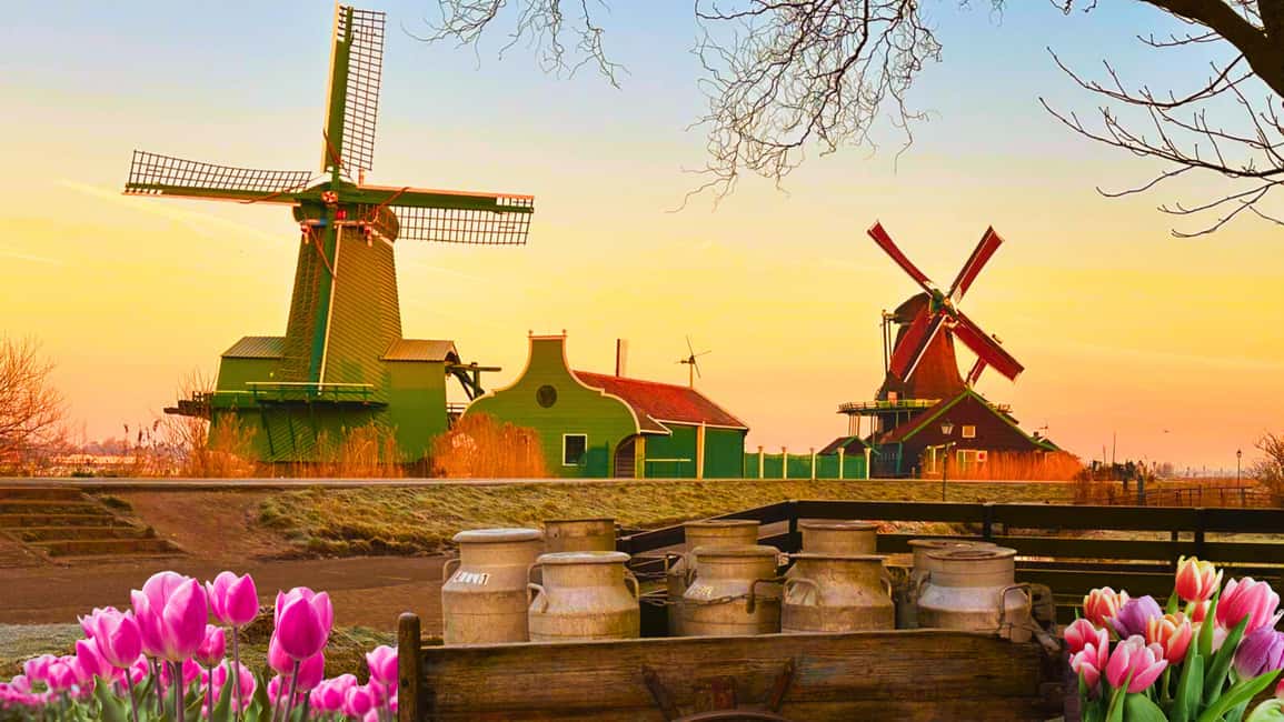 Amsterdam: Private Tour Giethoorn, Zaanse Schans Local Guide - Zaanse Schans: windmills, time to shop, and the inside ticket choice
